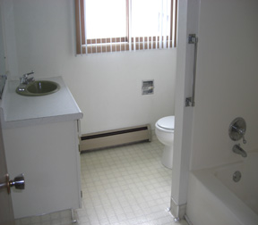 BW bathroom 052011